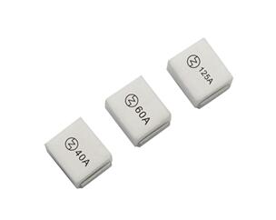 3125貼片保險絲 100A